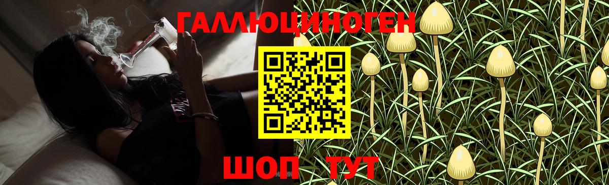 Галлюциногенные грибы мухоморы Протвино