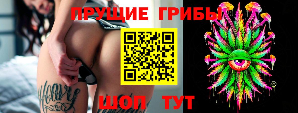 Протвино  Галлюциногенные грибы Magic Shrooms  Вход с VPN 